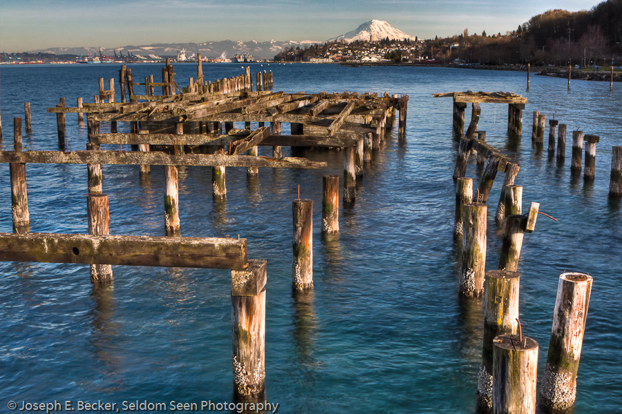 Tacoma Pilings