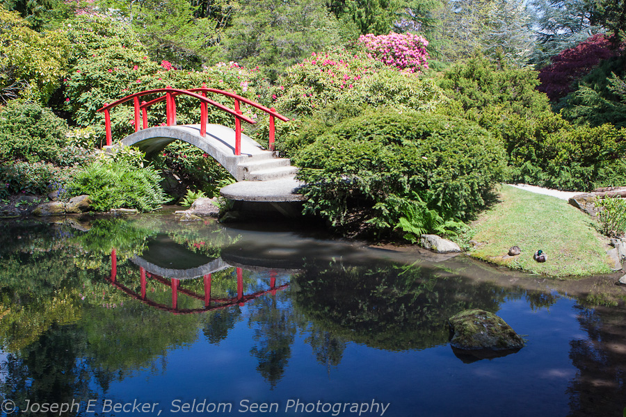 Moon Bridge