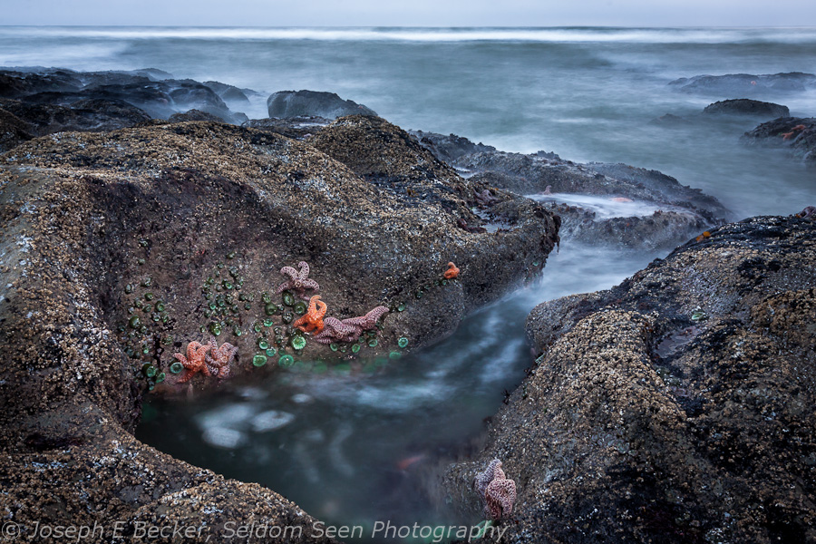 Low Tide, Beach #4