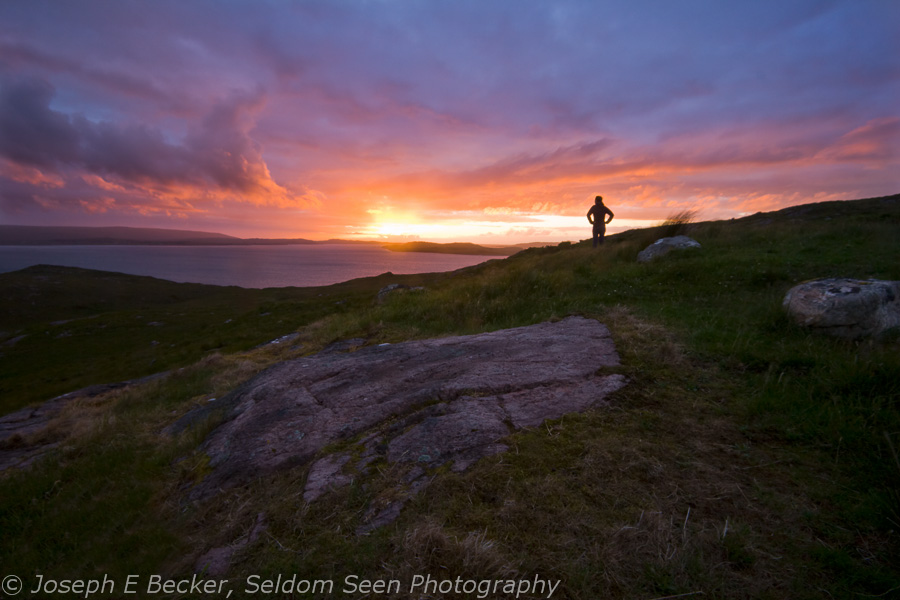 Sunset Encounter