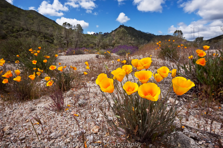 5 Years Ago – Pinnacles National Monument (no make that  Park)