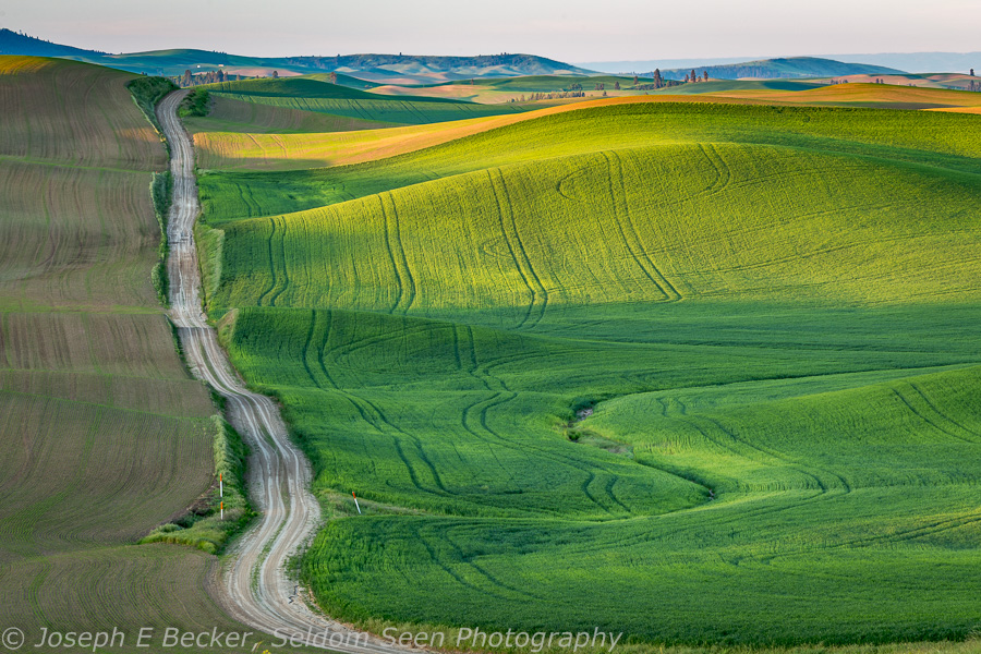 One More Look at the Palouse