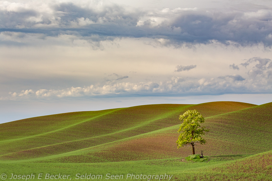 Unmapped Palouse