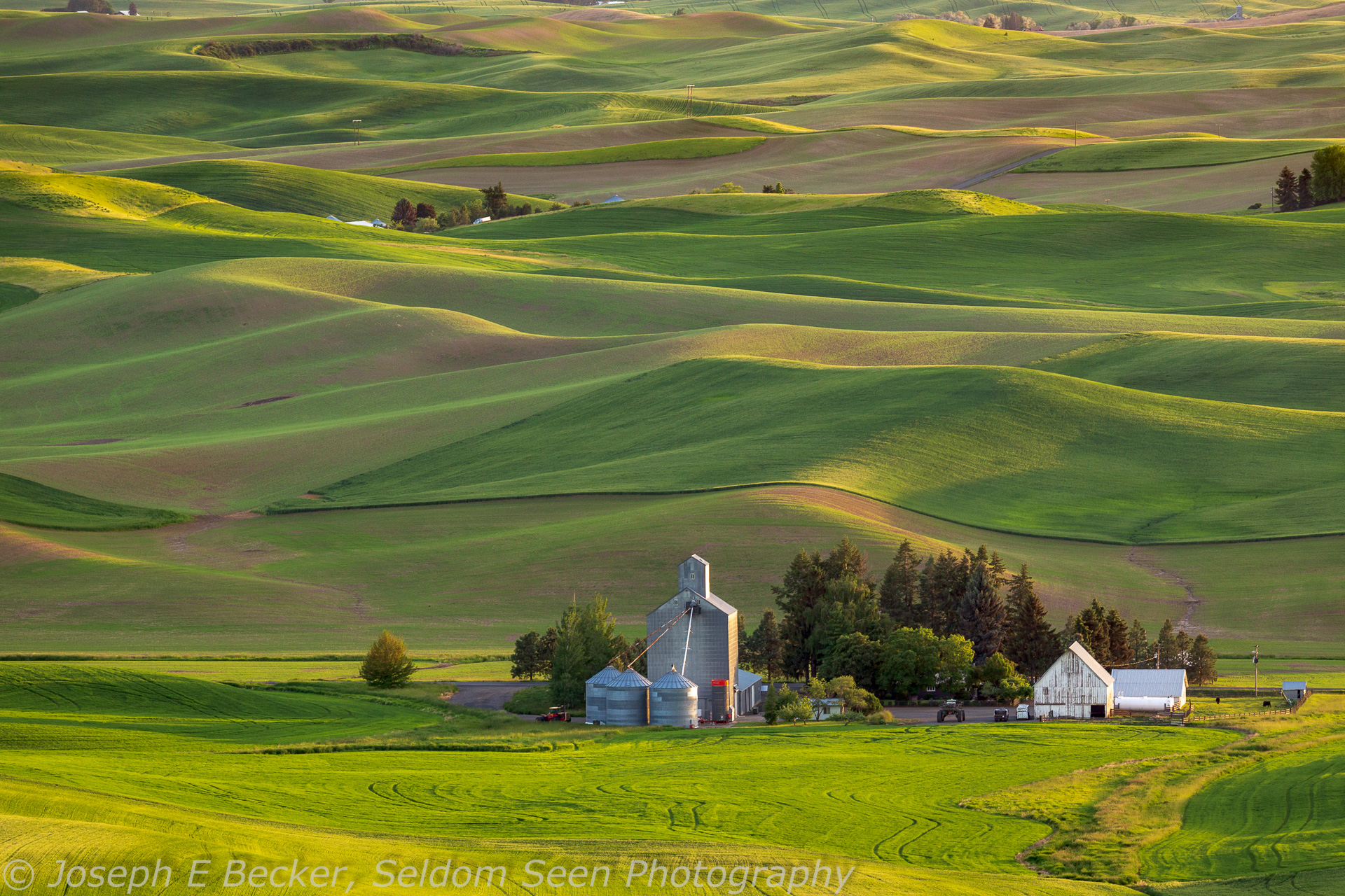 Steptoeless – A Photographic Guide to Non-Steptoe Butte Palouse Viewpoints