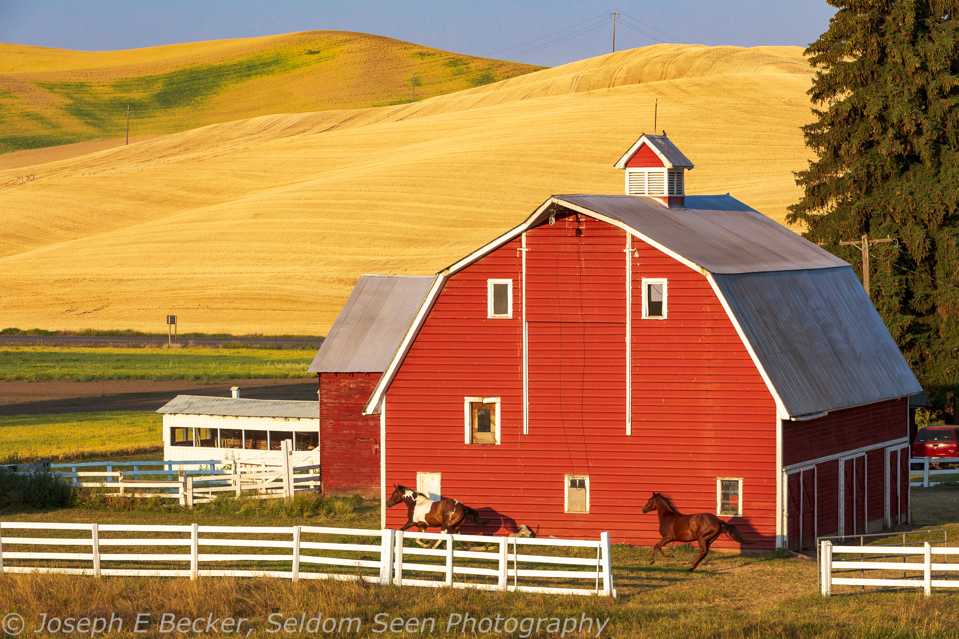 Two Summer Seasons of the Palouse