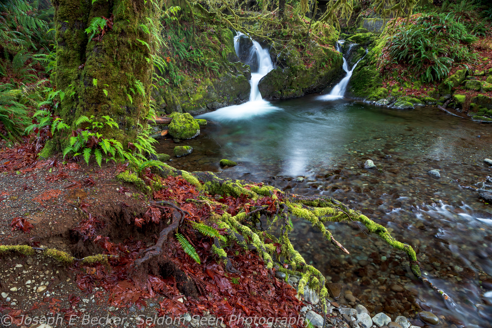 November Weekend on the Olympic Coast