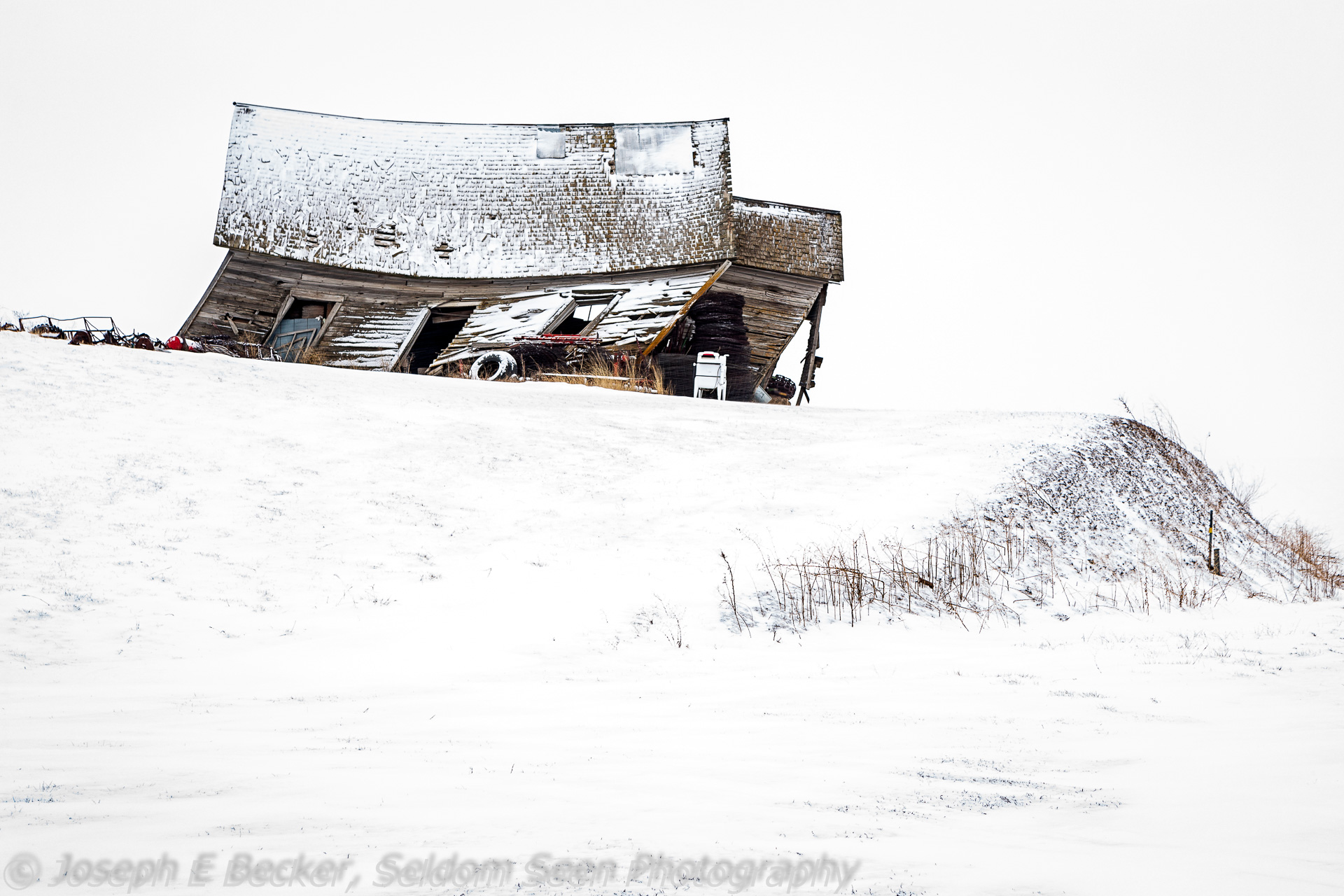 Into the Blizzard